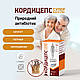 Для імунітету, противірусне, іммуномодулятор, КОРДІЦЕПС СУПЕР КАПСУЛИ №60 - фото 2 - id-p1308101625