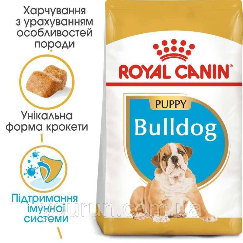 Royal Canin BULLDOG Puppy - корм для щенков английского бульдога 12кг. - фото 2 - id-p91955149