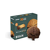 Картонний конструктор "Cartonic 3D Puzzle BRAIN" CARTBRAIN  1 шт., фото 4