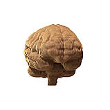 Картонний конструктор "Cartonic 3D Puzzle BRAIN" CARTBRAIN  1 шт., фото 6