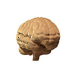 Картонний конструктор "Cartonic 3D Puzzle BRAIN" CARTBRAIN  1 шт., фото 7