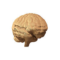 Картонний конструктор "Cartonic 3D Puzzle BRAIN" CARTBRAIN 1 шт.