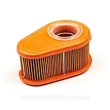 Фільтр повітряний Briggs&Stratton 792038, фото 5