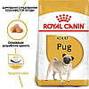Royal Canin (Роял Канін) Pug Adult для собак породи Мопс старше 10 міс 1,5 кг, фото 3