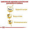 Royal Canin (Роял Канін) Pug Adult для собак породи Мопс старше 10 міс 1,5 кг, фото 5