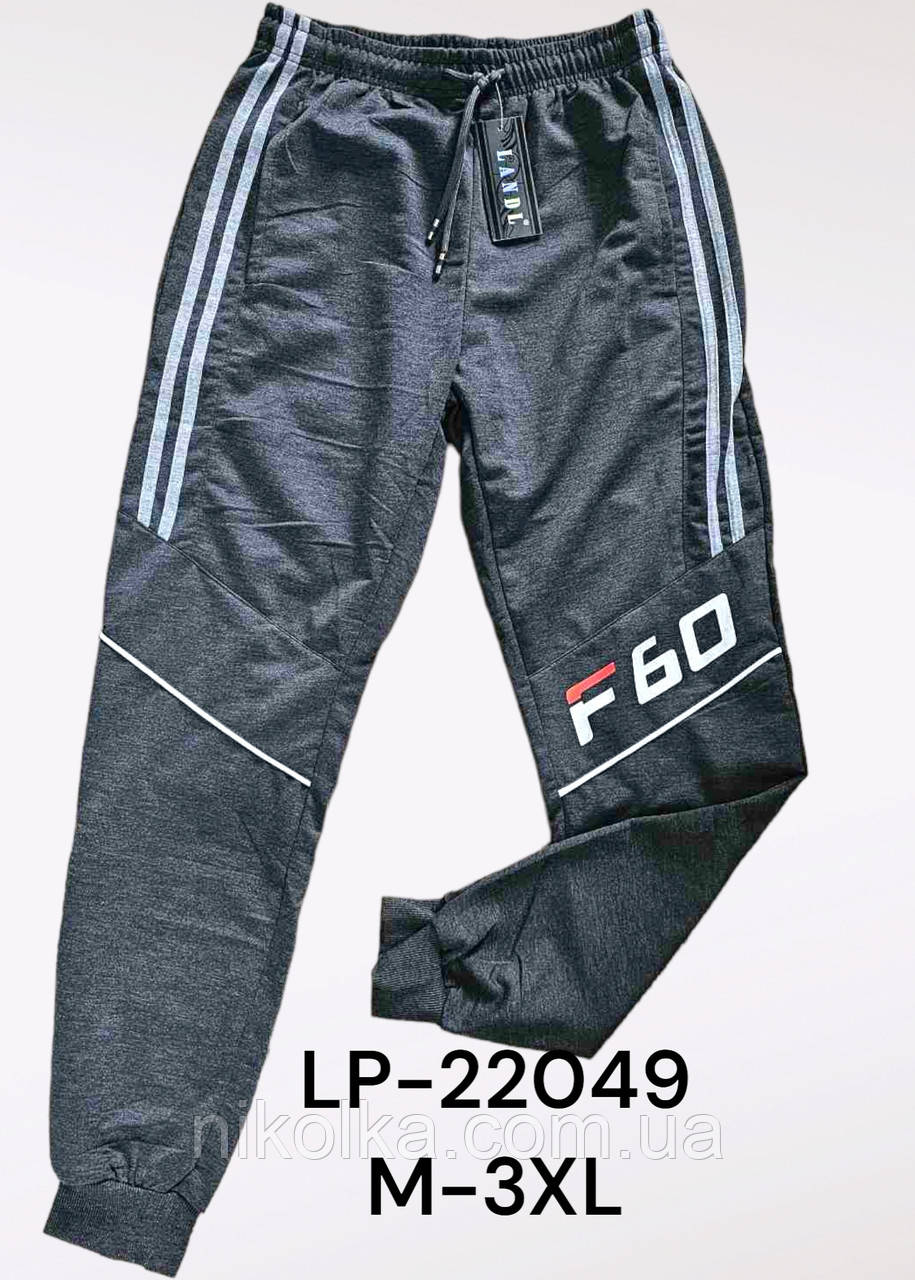 Чоловічі спортивні штани оптом, M-3XL рр., Арт. LP-22049