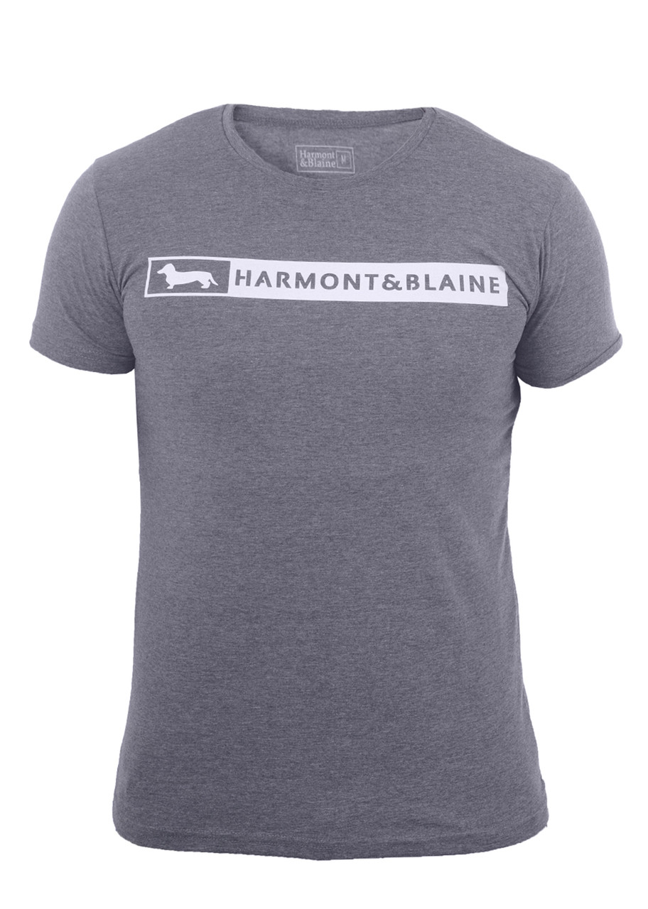 Футболка чоловіча Harmont & Blaine 22-1565 темно-сіра S