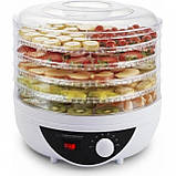 Сушарка, дегідратор для фруктів та овочів Esperanza EKD002 (250 Вт, напівавтоматична, 5 секцій), фото 2