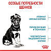Royal Canin (Роял Канін) Maxi Puppy - Сухий корм для цуценят великих порід 4 кг, фото 5