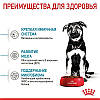 Royal Canin (Роял Канін) Maxi Puppy - Сухий корм для цуценят великих порід 4 кг, фото 6