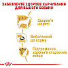 Royal Canin (Роял Канін) Yorkshire Terrier Adult для собак породи Йоркширський тер'єр старше 10 місяців 500гр, фото 5