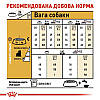 Royal Canin (Роял Канін) Yorkshire Terrier Adult для собак породи Йоркширський тер'єр старше 10 місяців 500гр, фото 8