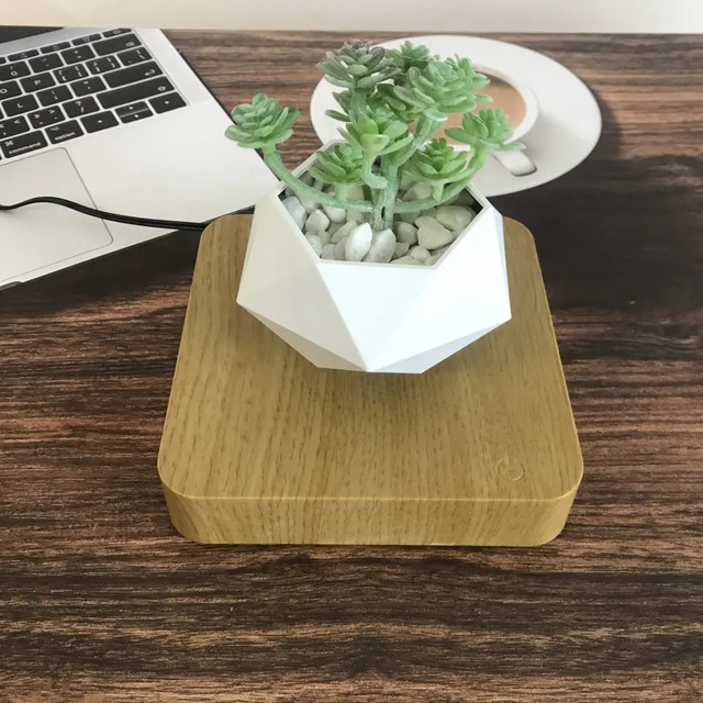 Летающий Горшок для Растений FLYING POT — Купить Недорого на Bigl.ua ...