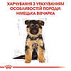 Royal Canin (Роял Канін) German Shepherd Puppy — корм для цуценят до 15 місяців, 3 кг, фото 3