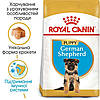 Royal Canin (Роял Канін) German Shepherd Puppy - корм для цуценят до 15 місяців, 12 кг, фото 3