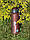 Пляшка для води CASNO 600 мл KXN-1196 Червона з соломинкою, фото 8