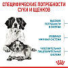 Royal Canin (Роял Канін) Medium Starter - перший твердий корм для щенят середніх порід, 1кг, фото 8