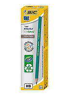 Набор карандашей BIC Evolution HB зеленый (12 шт)