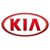 Бризковики на Kia