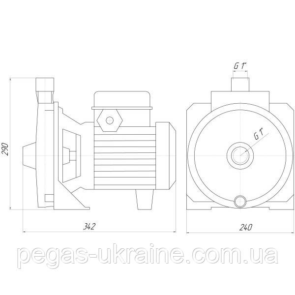 Насос вiдцентровий CM1PL 1,1 кВт SAER (7.2 м3/год, 44 м) однофазний - фото 5 - id-p1799075409