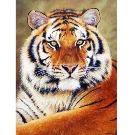 Алмазна вишивка Тигр