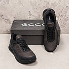 Чоловічі шкіряні кросівки Е-series Natural Motion Brown, фото 6