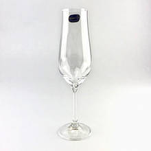 Набір келихів для шампанського Bohemia Tulipa 170мл*6шт (b40894)