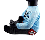 Спортивний костюм 9 місяців Туреччина трикотажний для новонародженого хлопчика блакитний (КДНМ39), фото 2