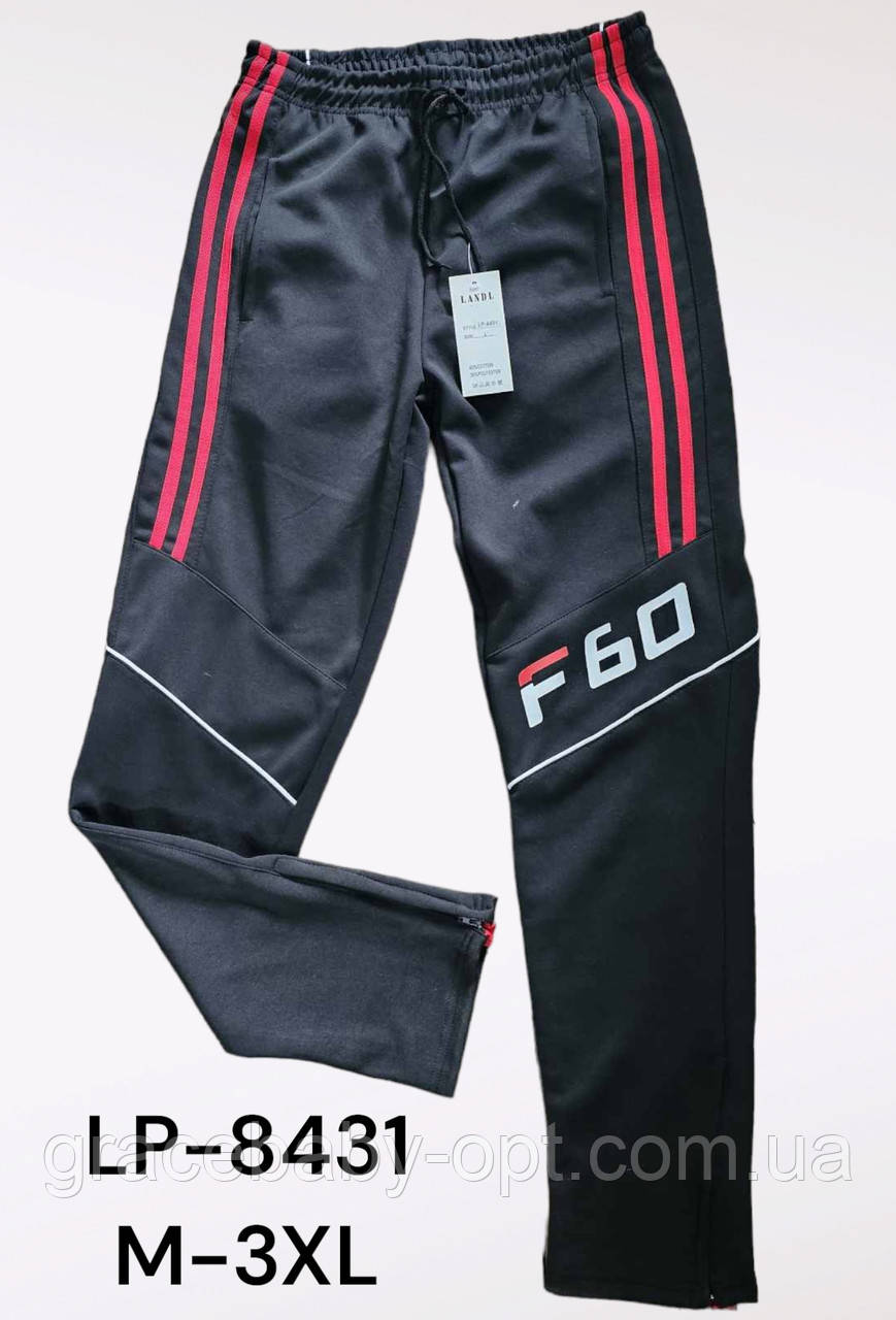 Спортивні штани для чоловіків оптом, M-3XL рр,  № Mar-LP-8431, фото 1