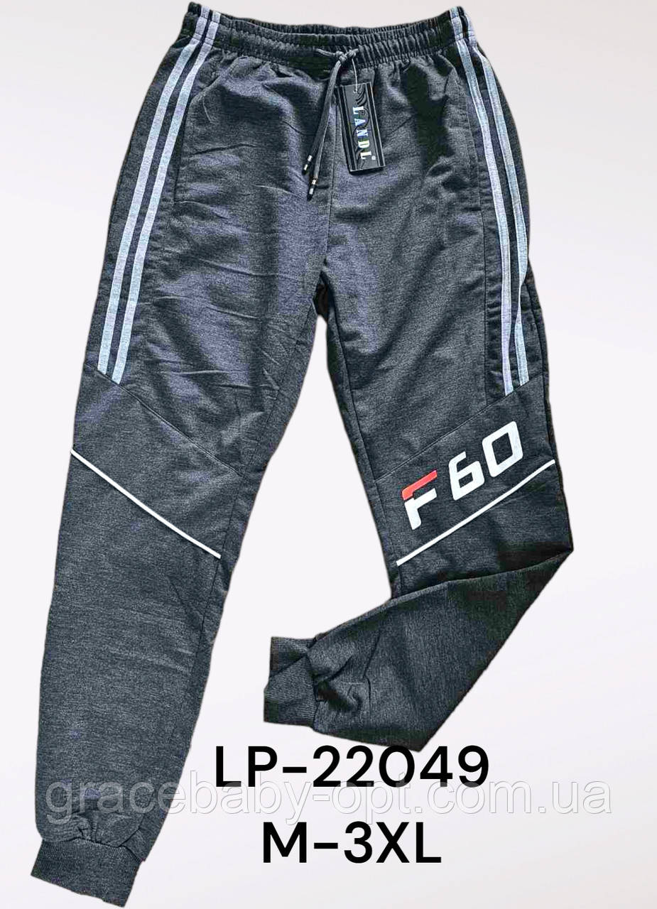 Спортивні штани для чоловіків оптом, M-3XL рр, № LP-22049