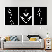 Модульна картина на полотні з трьох частин в стилі Ню, еротика. Вибух чуттєвості та ніжності!