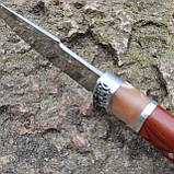 Комплект два ножі Columbia, великий обробний + малий універсальний K315, фото 5