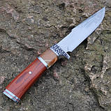 Комплект два ножі Columbia, великий обробний + малий універсальний K315, фото 3