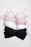 Жіночий кружевний комплект нижньої білизни бюстгальтер і трусики кольору шампань чашка А В, фото 5