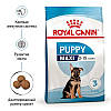 Royal Canin (Роял Канін) Maxi Puppy - Сухий корм для цуценят великих порід 15 кг, фото 3