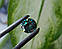 Муассаніт 1.95 ct 8.31 x 5.06 mm, фото 3