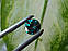 Муассаніт 1.95 ct 8.31 x 5.06 mm, фото 6