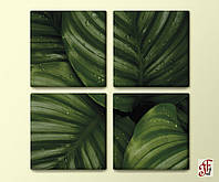 Печатная модульная картина Композиция с зелеными листьями Quadro 70х70 см