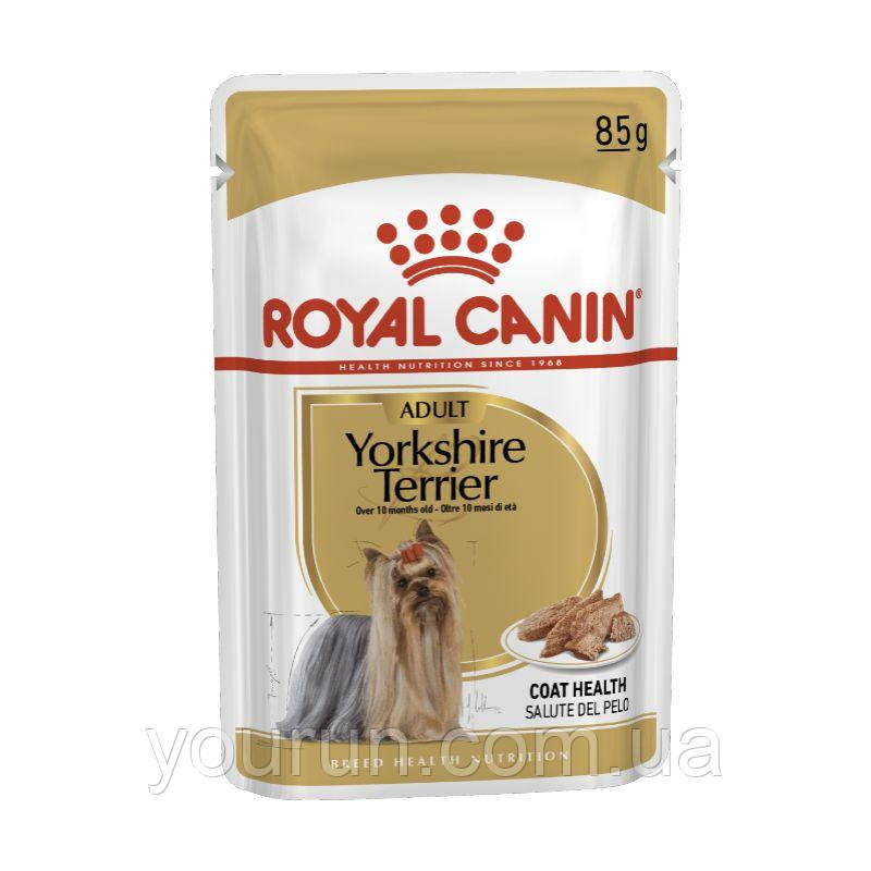 Royal Canin (Роял Канин) Yorkshire Terrier Adult - Влажный корм для йоркширских терьеров (паштет)85 гр - фото 1 - id-p520591027