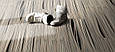 Ламінат Edition 1255003 Ben van Berkel Driftwood - Parador, фото 6