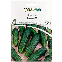 Огірок Регал F1 50 шт Clause