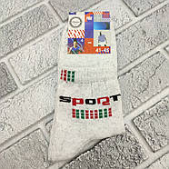 Шкарпетки чоловічі середні весна/осінь р.41-45 асорті з білим SPORT ДУКАТ 30037552, фото 2