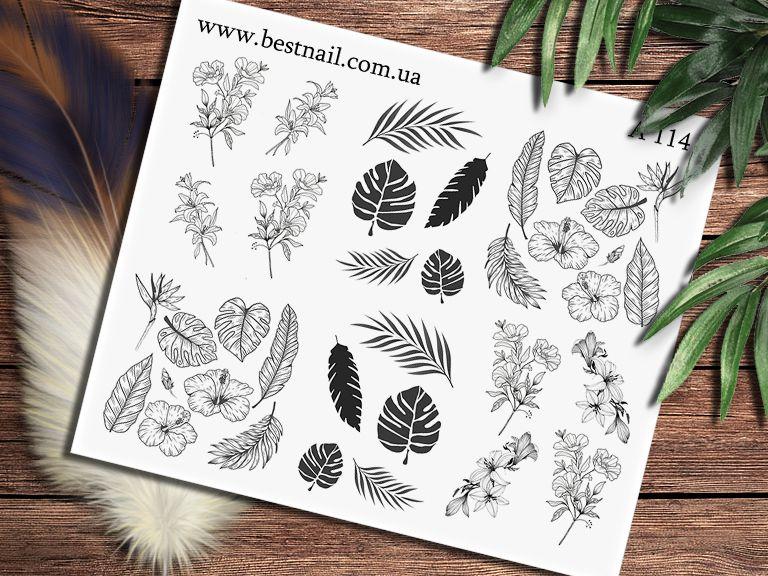 Слайдер-дизайн A-114, фото 1