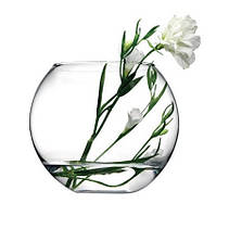 Ваза-акваріум Pasabahce Куля Botanica h-16 см 45068, фото 5