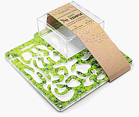 Мурашина ферма стартовий набір Maximum + Мурахи Messor structor Зелень, фото 2