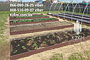 Високі грядки, металеві, оцинковані на дачу, бордюри, грядки з профнастилу., фото 2