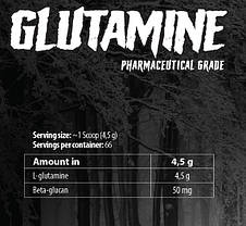 Глютамін Skull Labs Glutamine 300 g, фото 6