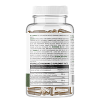 Echinacea OstroVit 90 капсул, фото 2