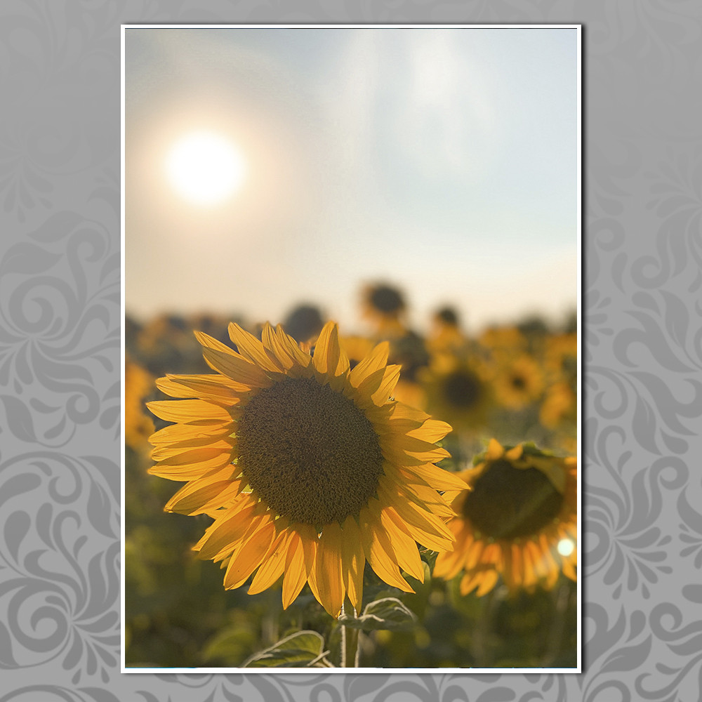 Плакат А4 символіка України 045, фото 1