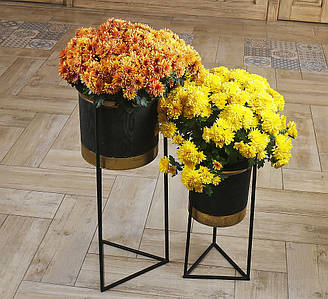 Універсальна настільна лупа з LED підсвічуванням - Brighter Viewer Hands